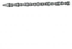 6D40 Camshaft