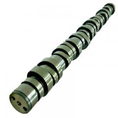 D13 CAMSHAFT